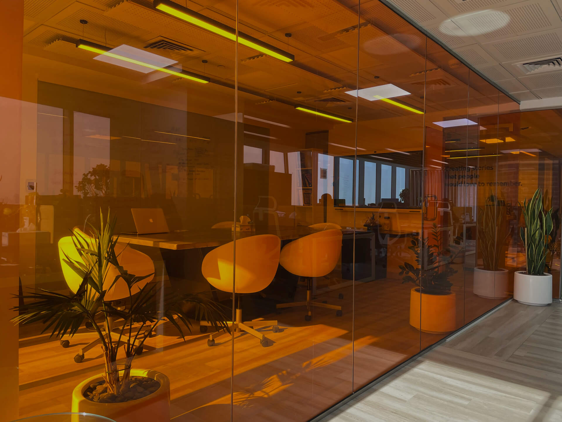 Bluamoeba office — Dubai
